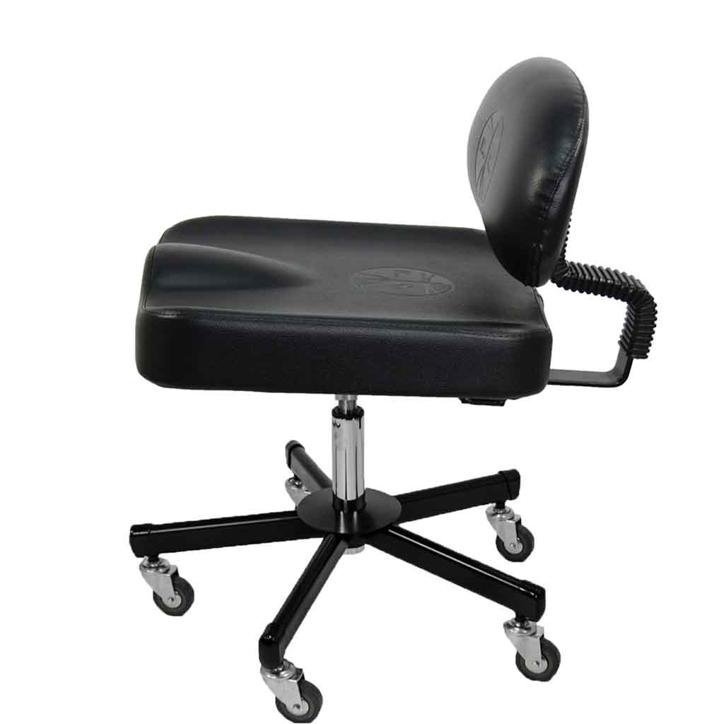 All Purpose Ergonomic Back Support Chair- InkBed