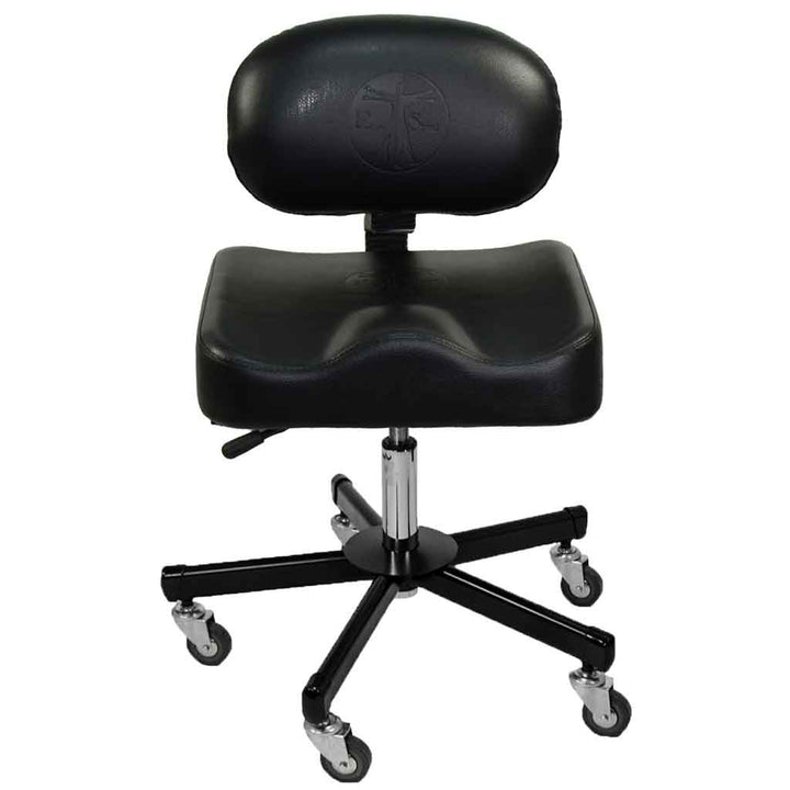 All Purpose Ergonomic Back Support Chair- InkBed