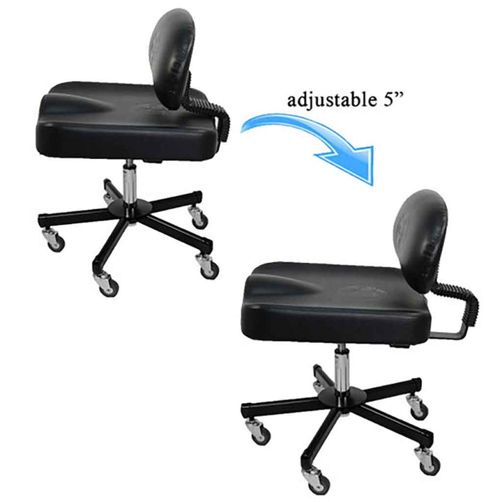 All Purpose Ergonomic Back Support Chair- InkBed