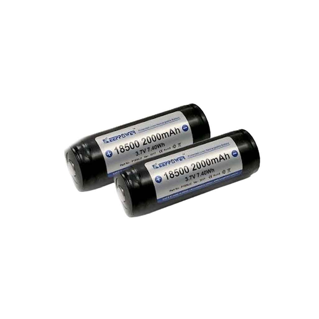 2000mAh Panasonic Lithium Ion Battery | 2 Pack