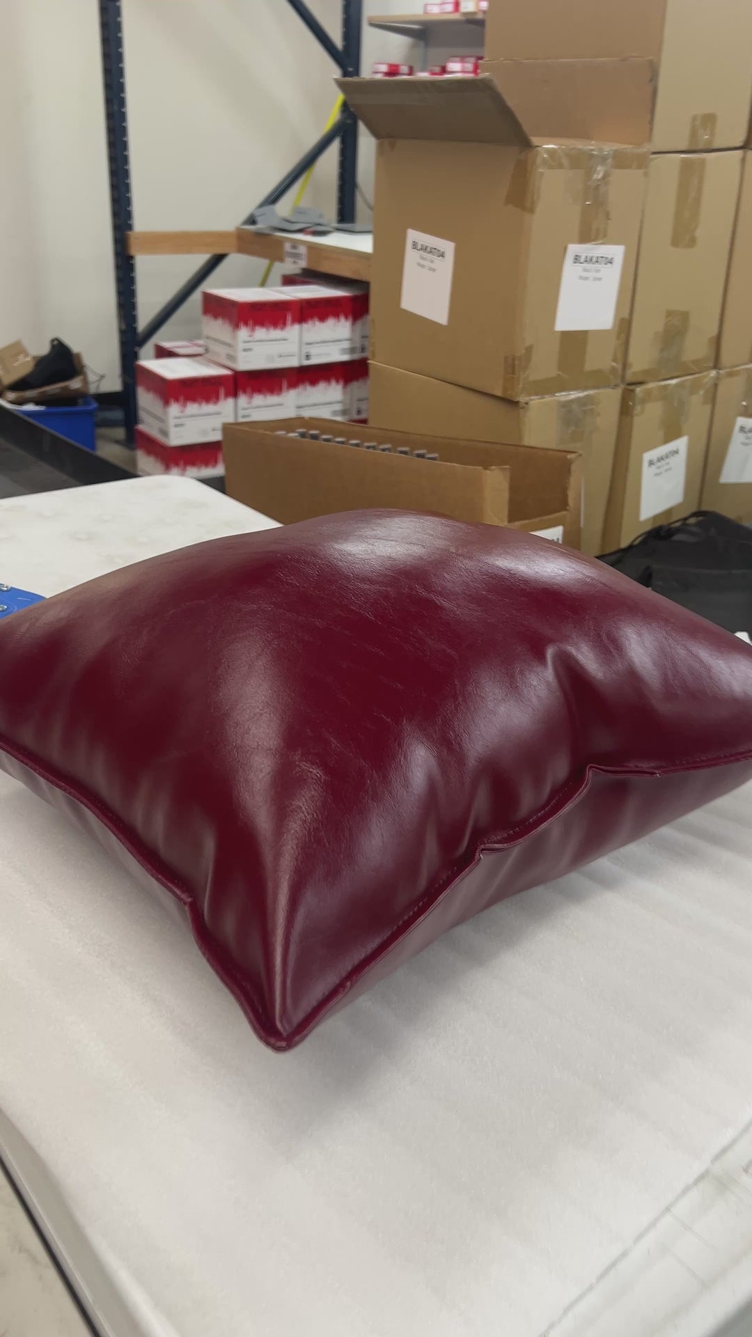 The Original Tattoo Pillow