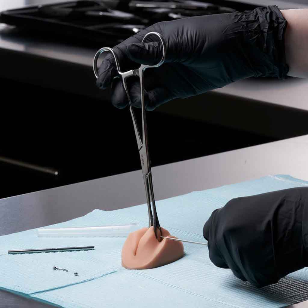 PMU Practice Lips and Piercing Body Bit, Fitzpatrick Tone 2 - A Pound of Flesh