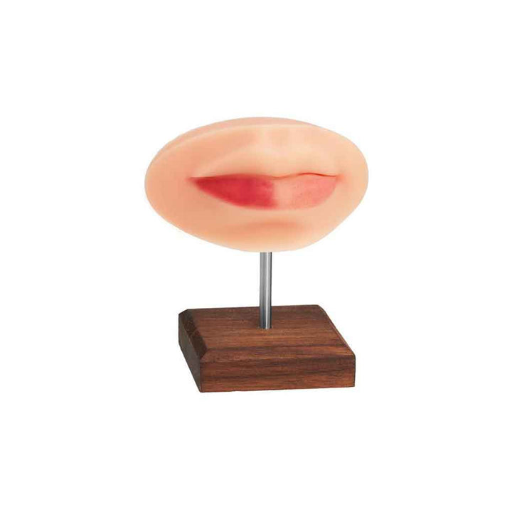 PMU Practice Lips and Piercing Body Bit, Fitzpatrick Tone 2 - A Pound of Flesh