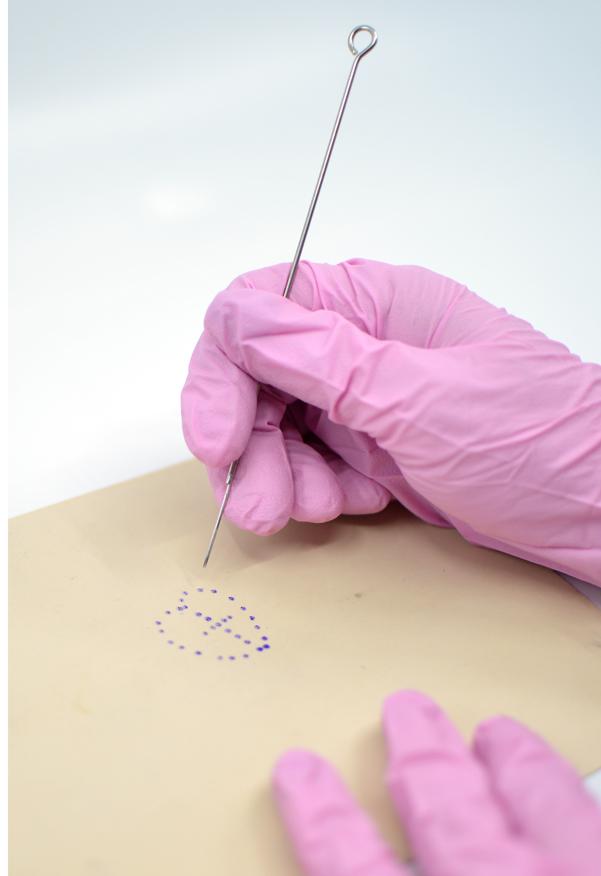 Stick and Poke Tattoo Kit